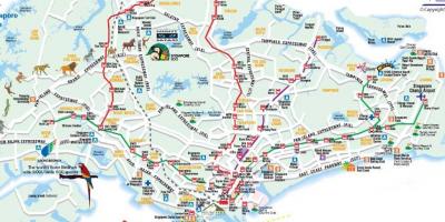 Peta jalan Singapura