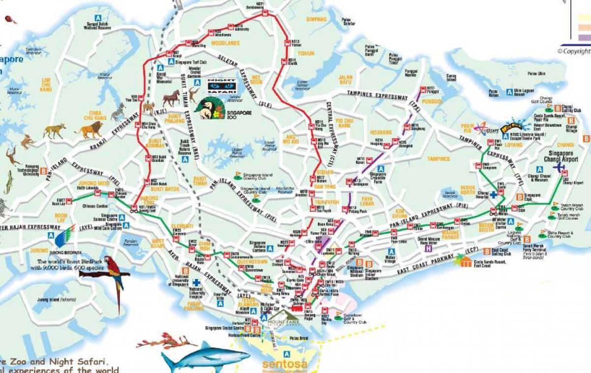 peta jalan Singapura